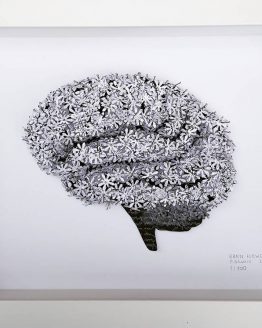 brainflowers_frame